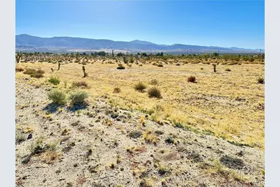 12025 Primavera Road, Pinon Hills, CA 92372 - Photo 10