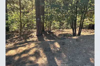 2335 Deep Creek, Running Springs, CA 92382 - Photo 2