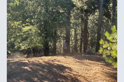 2335 Deep Creek, Running Springs, CA 92382 - Photo 1