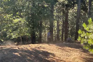 2335 Deep Creek, Running Springs, CA 92382 - Photo 1