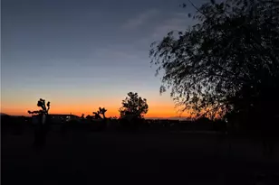 11815 Rosado Rd, Pinon Hills, CA 92372 - Photo 4