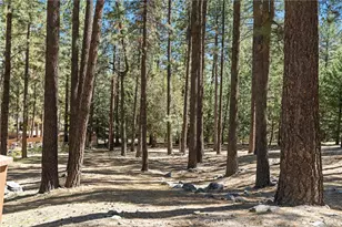 5809 Pine St, Wrightwood, CA 92397 - Photo 56