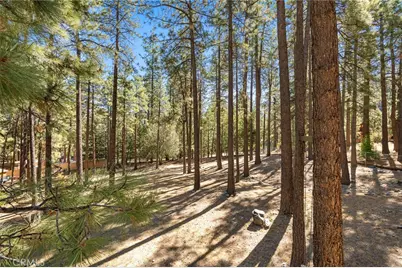 5809 Pine Street, Wrightwood, CA 92397 - Photo 18