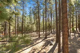 5809 Pine St, Wrightwood, CA 92397 - Photo 18