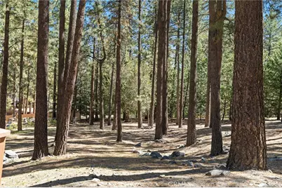 5809 Pine Street, Wrightwood, CA 92397 - Photo 64