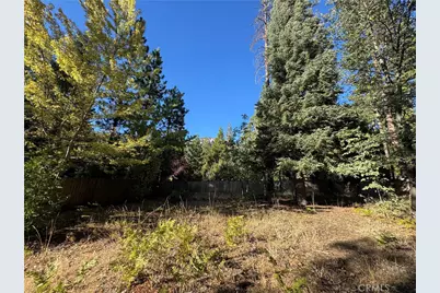 0 Fern Valley Road, Idyllwild, CA 92549 - Photo 8