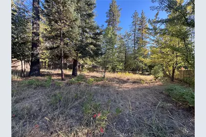0 Fern Valley Road, Idyllwild, CA 92549 - Photo 2