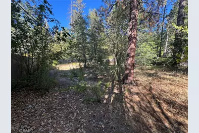 0 Fern Valley Road, Idyllwild, CA 92549 - Photo 10