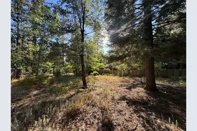 0 Fern Valley Road, Idyllwild, CA 92549 - Photo 1