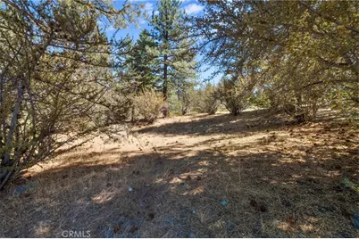 5761 Sheep Creek, Wrightwood, CA 92397 - Photo 24