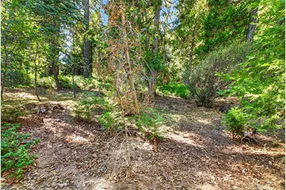 29243 Hook Creek, Cedar Glen, CA 92321 - Photo 42