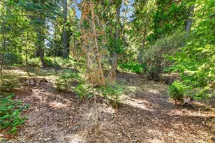 29243 Hook Creek, Cedar Glen, CA 92321 - Photo 42