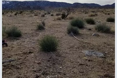 260 Avenue Z14/260 Ste, Llano, CA 93544 - Photo 4