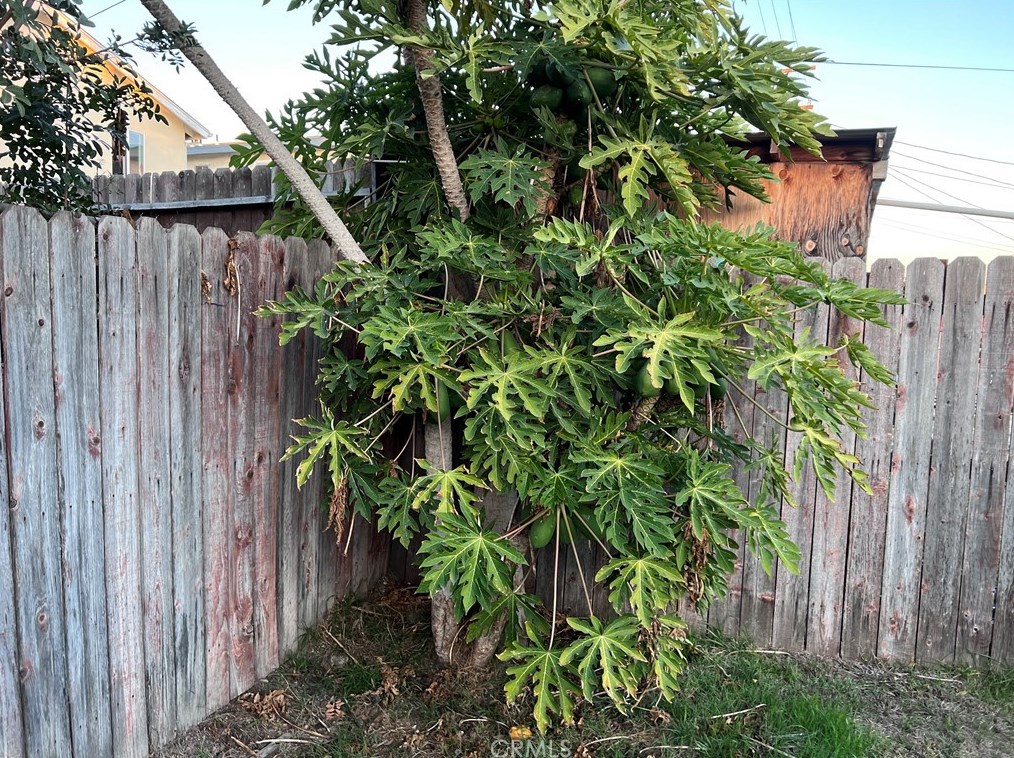 1321 73rd St, Los Angeles CA  90044-2437 exterior