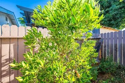 8219 Crockett Boulevard, Los Angeles, CA 90001 - Photo 16