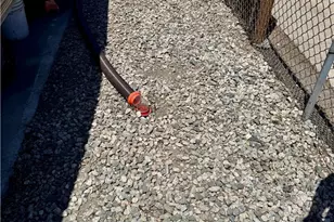 5025 4th Ave, Leimert Park, CA 90043 - Photo 34