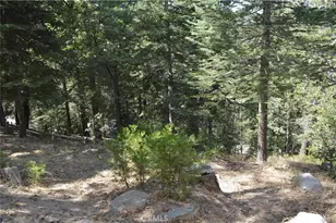 590 0 Rose Ln, Twin Peaks, CA 92391 - Photo 14