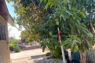 1915 E 78th, Los Angeles, CA 90001 - Photo 4