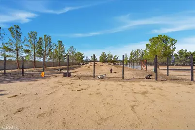 49239 80th Street W, Lancaster, CA 93536 - Photo 58