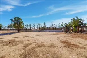 49239 80th St W, Lancaster, CA 93536 - Photo 54