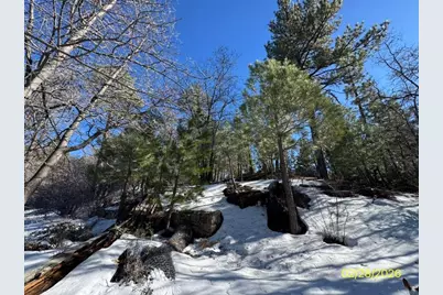 43103 Grizzly, Big Bear Lake, CA 92315 - Photo 22