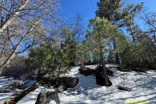 43103 Grizzly, Big Bear Lake, CA 92315 - Photo 22