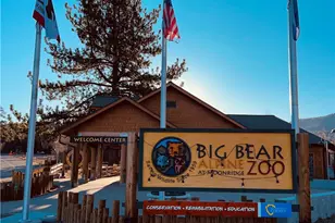 43428 Primrose, Big Bear Lake, CA 92315 - Photo 66