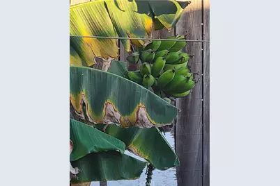 1934 Vineyard, Los Angeles, CA 90016 - Photo 32