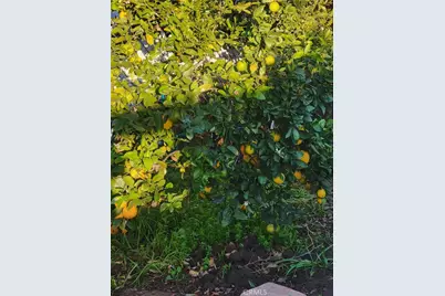 1934 Vineyard, Los Angeles, CA 90016 - Photo 30