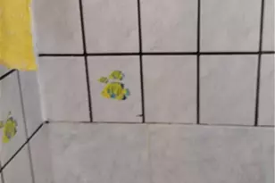 910 E 76th, Los Angeles, CA 90001 - Photo 6