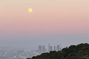8656 Skyline, Los Angeles, CA 90046 - Photo 38