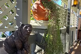 26350 Delano Dr, Idyllwild, CA 92549 - Photo 14