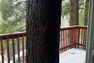 1044 Nesthorn Dr, Crestline, CA 92325 - Photo 50