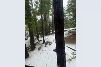 1044 Nesthorn Drive, Crestline, CA 92325 - Photo 48