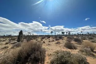 1 Sunny Sands, Yucca Valley, CA 92284 - Photo 1