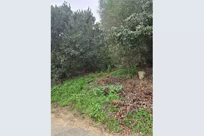 16872 Sumach, Chino Hills, CA 91709 - Photo 8