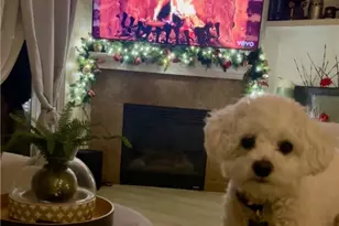 8692 9th, Rancho Cucamonga, CA 91730 - Photo 1