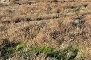 1 Vac/Ave C10/Vic 65 Stw, Lancaster, CA 93536 - Photo 1