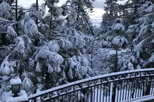 5319 Desert View, Wrightwood, CA 92397 - Photo 58