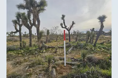 26000 Avenue W, Llano, CA 93544 - Photo 12