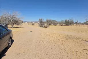 39070 Yucca, Newberry Springs, CA 92398 - Photo 8