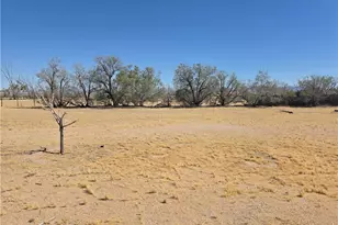 39070 Yucca, Newberry Springs, CA 92398 - Photo 8