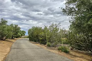 31611 157th, Llano, CA 93544 - Photo 68