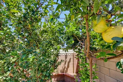 12027 168th, Artesia, CA 90701 - Photo 50