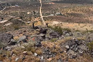 4334 Yucca Mesa Rd, Yucca Valley, CA 92284 - Photo 12