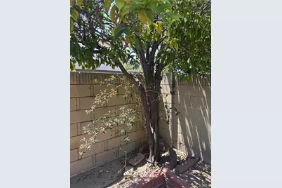 10744 Andy, Cerritos, CA 90703 - Photo 54