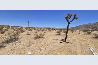 3510 Saddleback, Joshua Tree, CA 92252 - Photo 4