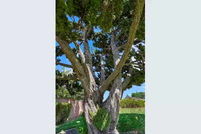 14776 Natalie, Whittier, CA 90604 - Photo 46