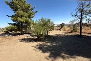 278 Yucca, Pinon Hills, CA 92372 - Photo 30