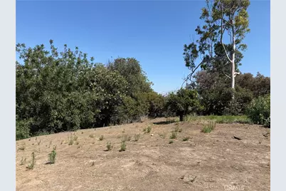0 Papaya, La Habra Heights, CA 90631 - Photo 6